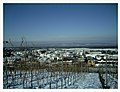 February Minus 10 Grad Celsius Masterview Vulcan Kaiserstuhl Germany - Master Landscape Rhine Valley Photography 2013 - panoramio.jpg