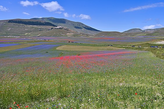 Castelluccio, photo in year 2020 with ruins after the earthquakes.