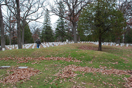 Architectural historian Gary Tipler traverses a panther effigy mound in Forest Hill Cemetery, 2008