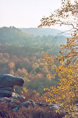 Foret Fontainebleau automne 01.jpg