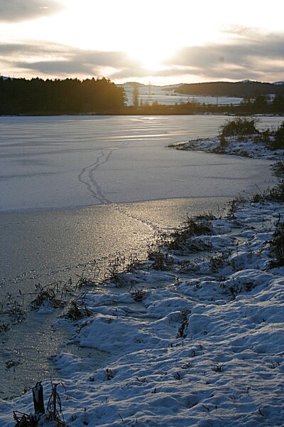 File:Forfar Loch - geograph.org.uk - 1660109.jpg