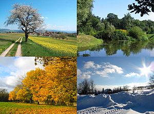 Four seasons.jpg
