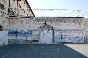 Two Division exercise yard wall art