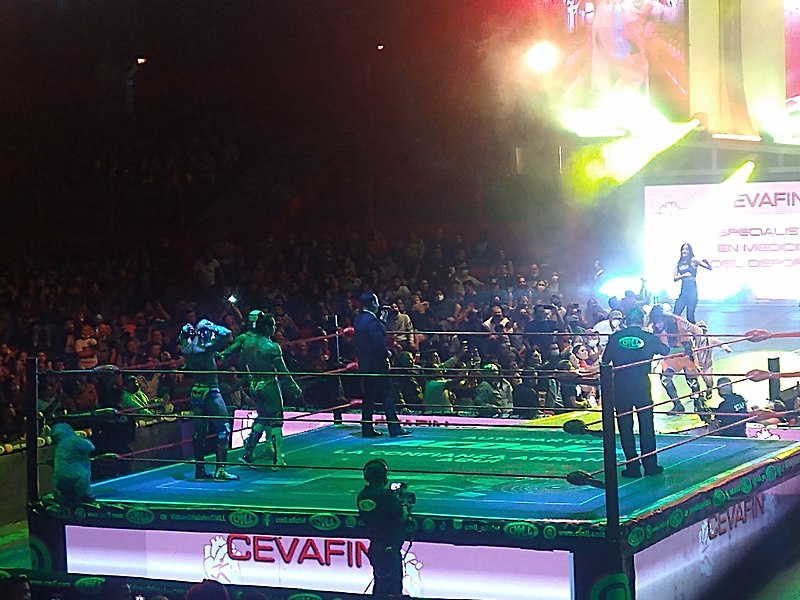 File:Función de luchas de la CMLL en la Arena México 61.jpg