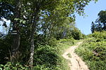 English: Path from Kalnica to Smerek. Polski: Główny Szlak Beskidzki, szlak ze wsi Kalnica na szczyt Smerek.