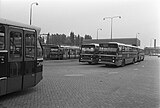 Standaardbussen 40 en 477 en luchtbus 539 van lijn 15 op standplaats Sloterdijk 3 mei 1974