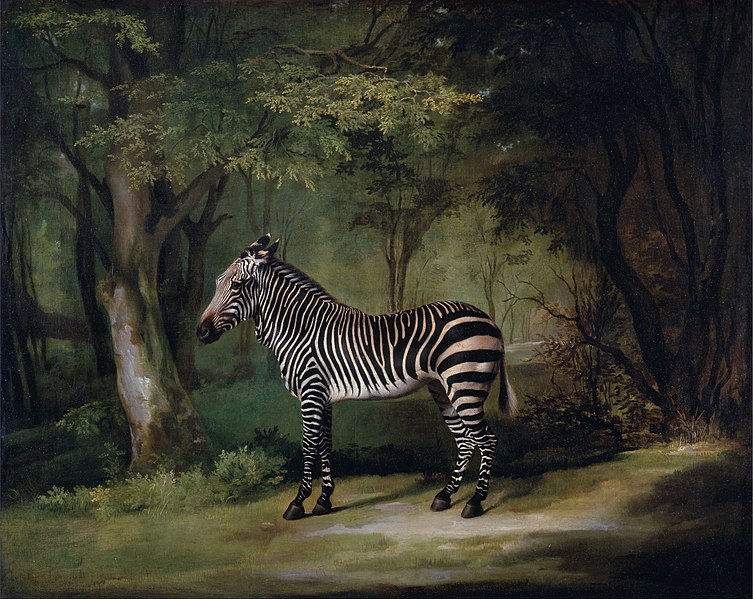 File:George Stubbs - Zebra - Google Art ProjectFXD.jpg