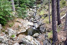 In the Canali forest, the Alzitone (or Regolo) stream upstream of the Canali bridge on the D69 road