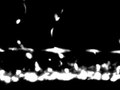 File:Ginger-Stimulates-Hematopoiesis-via-Bmp-Pathway-in-Zebrafish-pone.0039327.s011.ogv