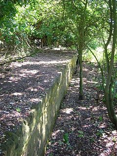 <span class="mw-page-title-main">Golf Club Halt railway station (England)</span> Former railway station in England