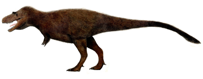 File:Gorgosaurus.png