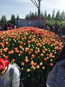 File:Goyang_International_Flower_Festival.jpg