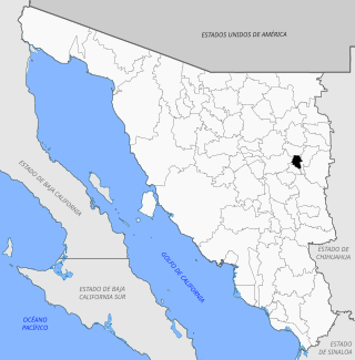 <span class="mw-page-title-main">Granados Municipality, Sonora</span> Municipality in Sonora, Mexico