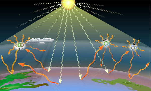 Greenhouse gases trap some of the heat that results when sunlight heats the Earth's surface.
