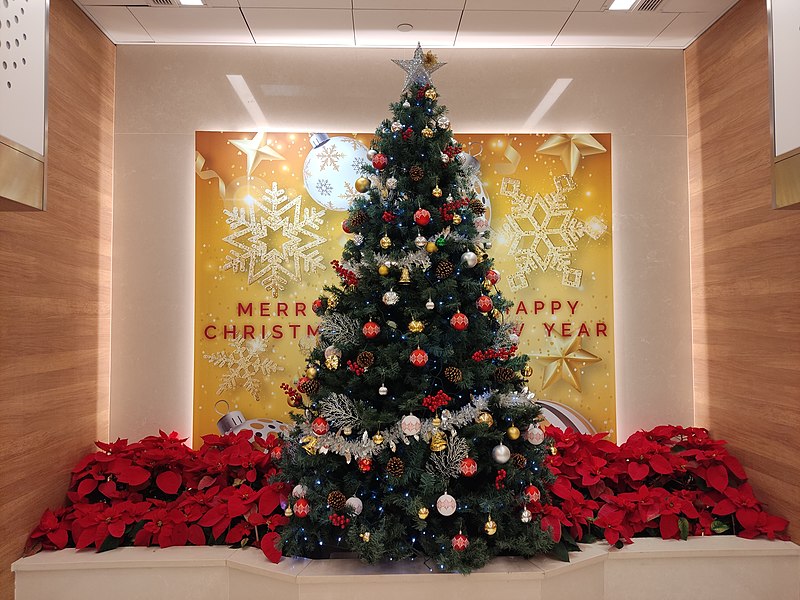 File:HK SW 上環 Sheung Wan 德輔道中 211 Des Voeux Road Central WIng On Centre lift main lobby Christmas tree January 2022 Px3 01.jpg