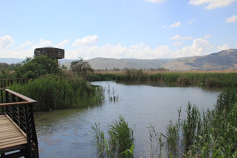 File:HaHula valley natural park (6).jpg