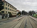 wikimedia_commons=File:Haltestelle Zwickau, Virchowplatz.jpg