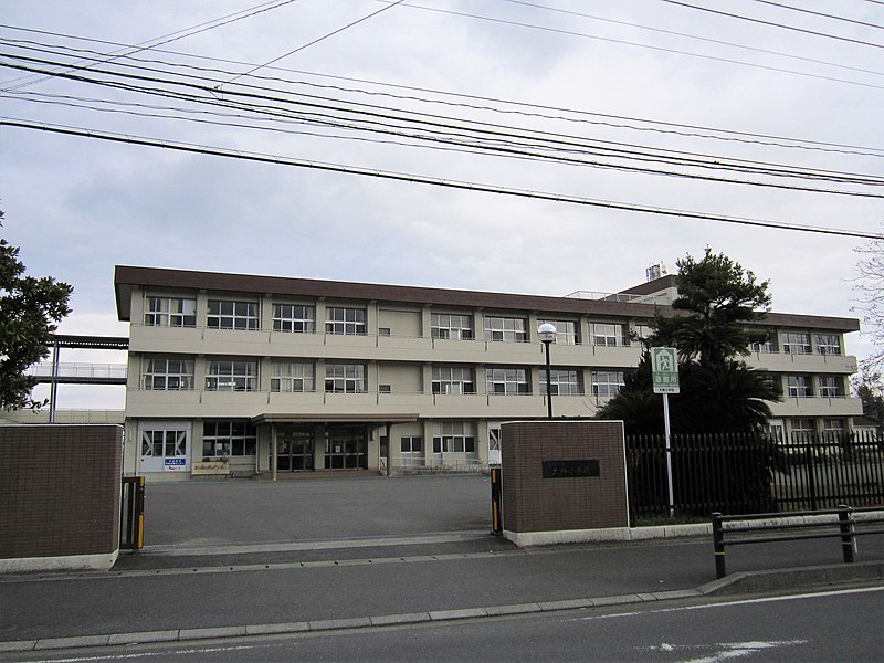 File:Hiji Town Ooga Elementary school.jpg