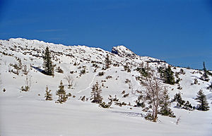 The small summit triangle of the Hohe Kisten from the south.