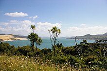 Hokianga1