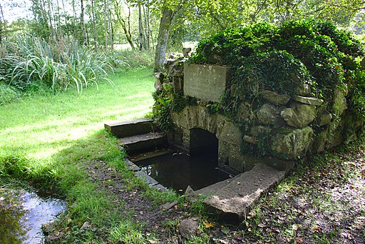 Holy well, Durrow