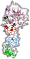 Open conformation of prothrombin