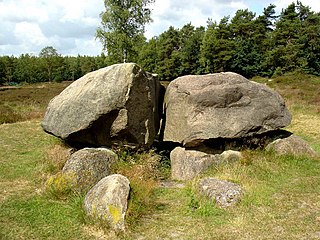 Hunebed D40 in het Valtherbos bij Emmen