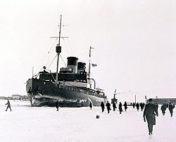 Jääkarhu Helsingissä 1926