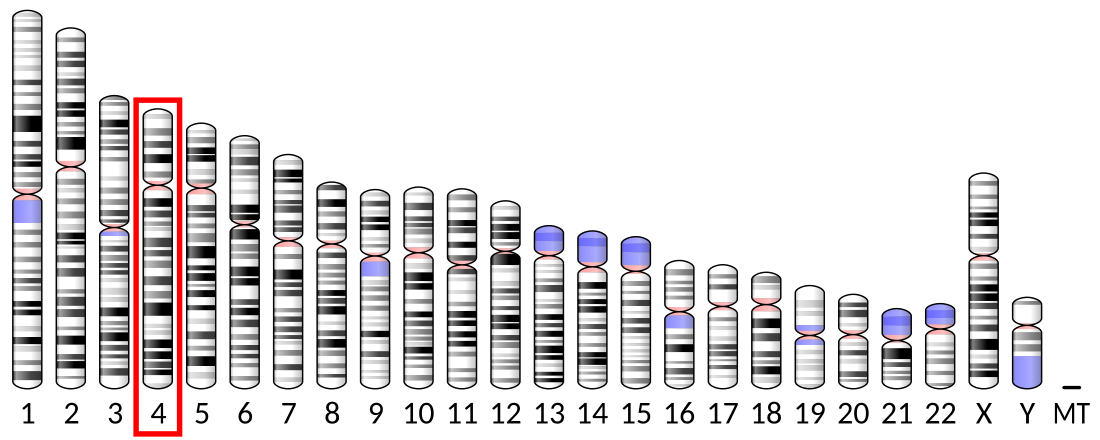 Β-Mannosidase