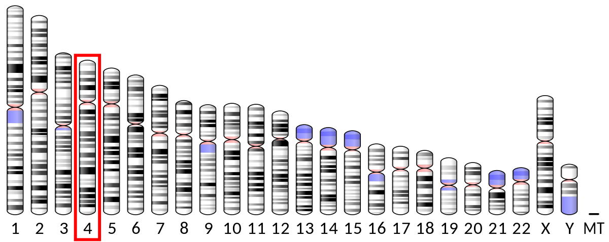 Alpha Synuclein Wikipedia
