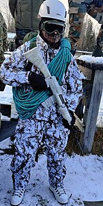 Indian Army Winter Camouflage 2022 - New.jpg