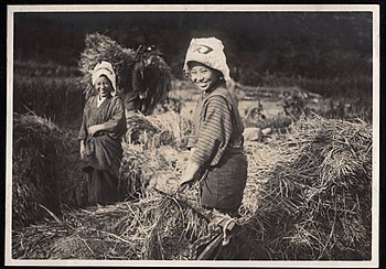 Para petani Jepang, sekitar tahun 1914-1918.