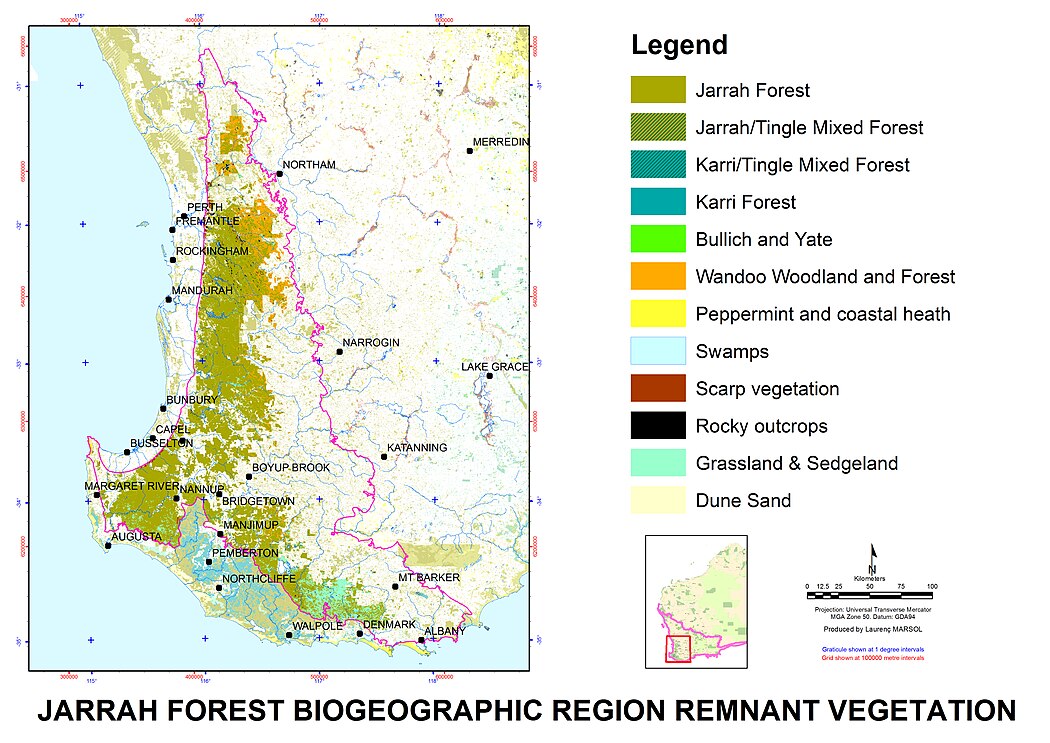 Jarrah Forest ecoregion, with forest ecosystem remnant vegetation type Jarrah Forest En.jpeg