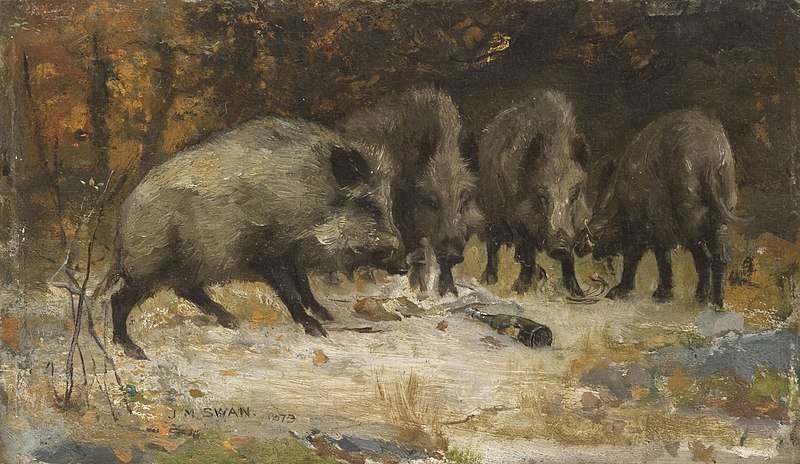 File:John Macallan Swan - Wild Boars.jpg