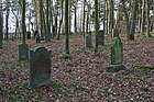 Jüdischer Friedhof bei Prisser [D]