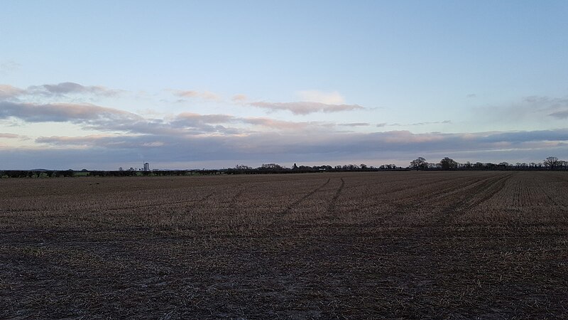 File:Just field and sky - geograph.org.uk - 5640395.jpg