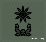 KA insignia (cloth) Major.gif