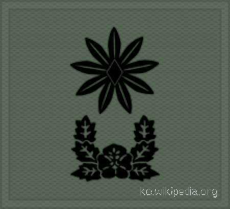 Tập_tin:KA_insignia_(cloth)_Major.gif