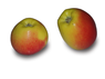 Zwei Nicoter/Kanzi-Äpfel