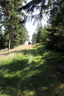 Katzhütte-Jagdschirm.jpg