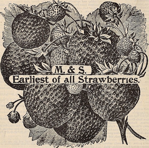 File:Key to profit in the garden (1899) (20560335271).jpg