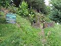 Thumbnail for Kilvey Community Woodland