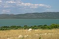 Lac de Vransko, Croatie.jpg