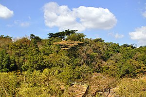 Laeveld Botaniese Tuin: Botaniese tuin te Nelspruit, Mpumalanga