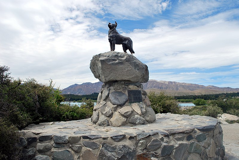 File:Lake Tekapo Sheepdog Statue 002.JPG
