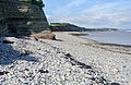 Lower Lias rocks exposed at Lavernock Point, south Wales.