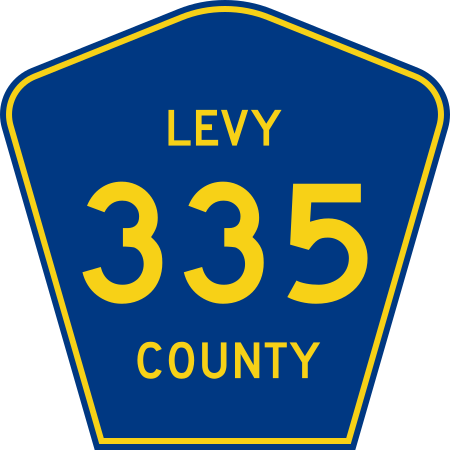 File:Levy County 335.svg