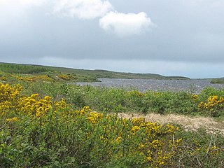 <span class="mw-page-title-main">Lickeen Lough</span> Body of water