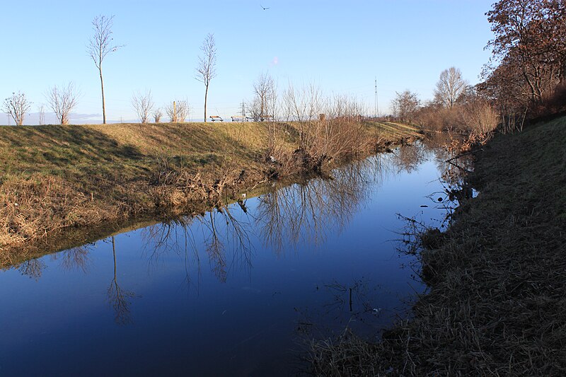 File:Liesing Unterlaa Biberstausee 06.jpg