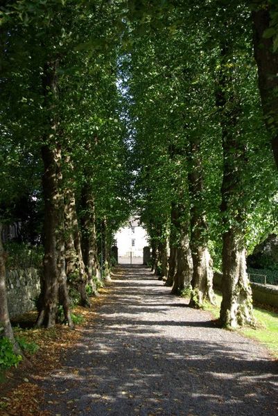 File:Looking back down the church drive way. - geograph.org.uk - 997392.jpg